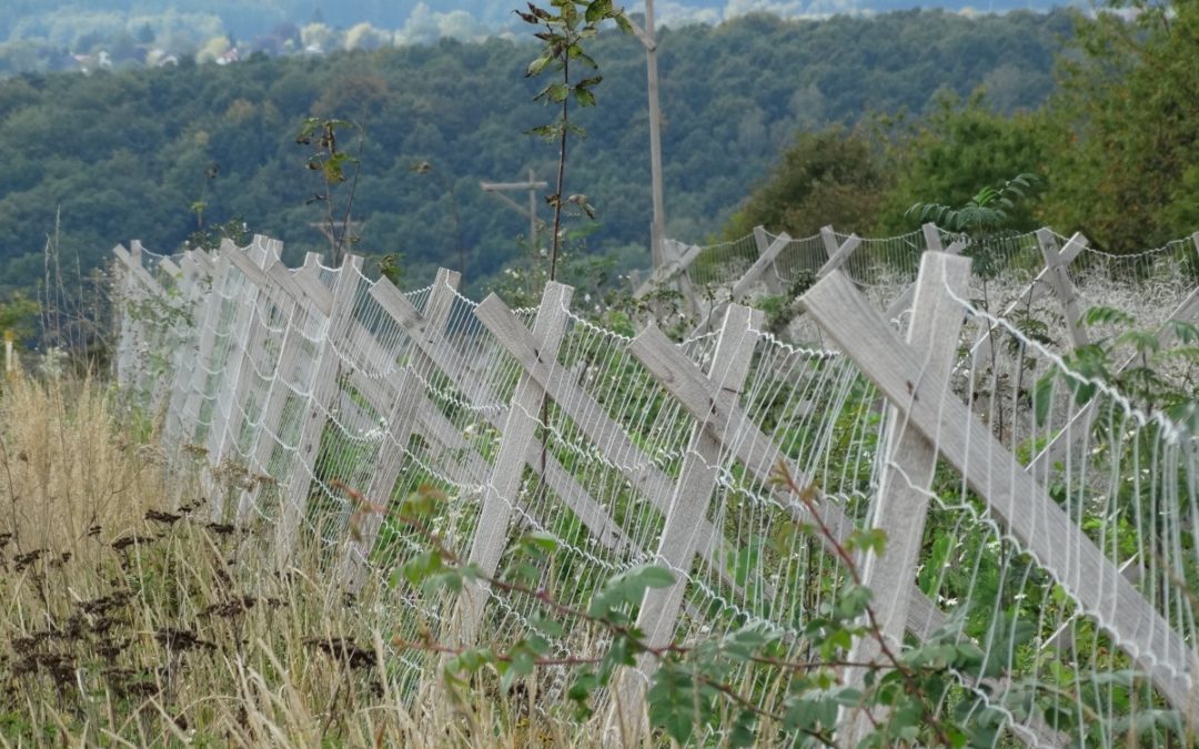 Cos è il razzismo? Non è solo volere un confine.