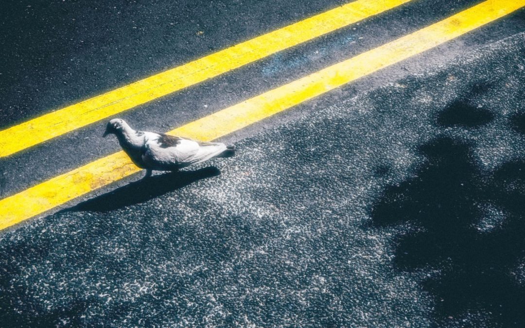 Essere “Cittadino” ha ancora senso?