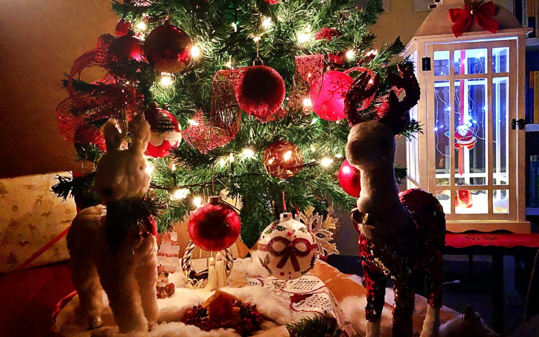 La Storia per Natale.