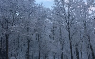 Arriva la neve…