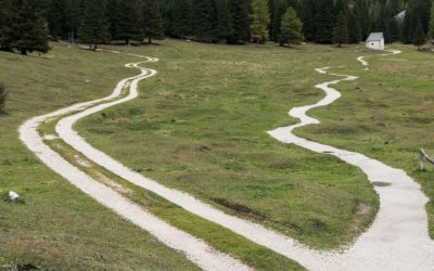 Tra inverno e primavera