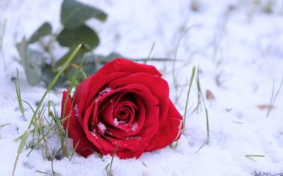 Il freddo di Maggio