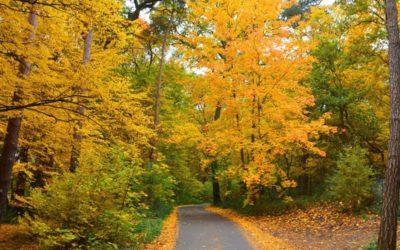 Bentornato Autunno!