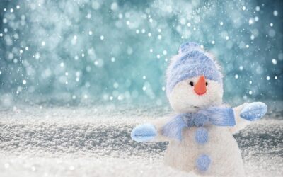 Neve al nord il 28 dicembre.